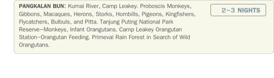 PANGKALAN BUN: Kumai River, Camp Leakey. Proboscis Monkeys, Gibbons, Macaques, Herons, Storks, Hornbills, Pigeons, Kingfishers, Flycatchers, Bulbuls, and Pitta. Tanjung Puting National Park ReserveMonkeys, Infant Orangutans. Camp Leakey Orangutan Station-Orangutan Feeding. Primeval Rain Forest in Search of Wild Orangutans.                 2-3 NIGHTS